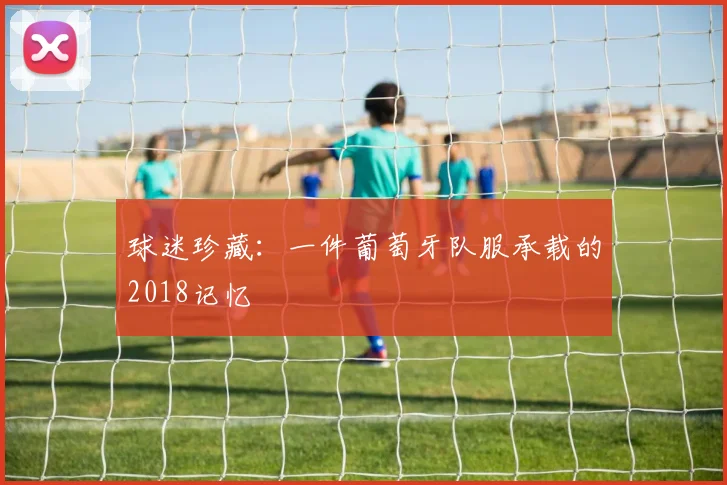 球迷珍藏:一件葡萄牙队服承载的2018记忆
