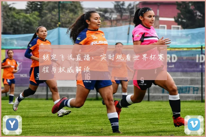 锁定飞流直播,实时观看世界杯赛程与权威解读