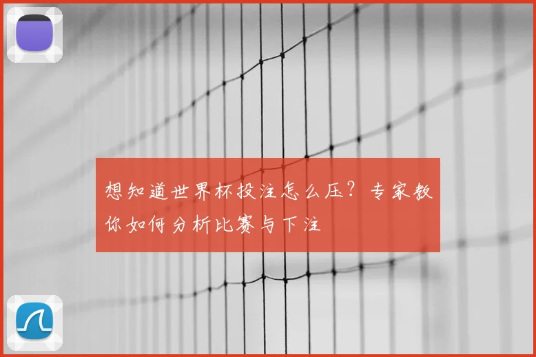 想知道世界杯投注怎么压？专家教你如何分析比赛与下注