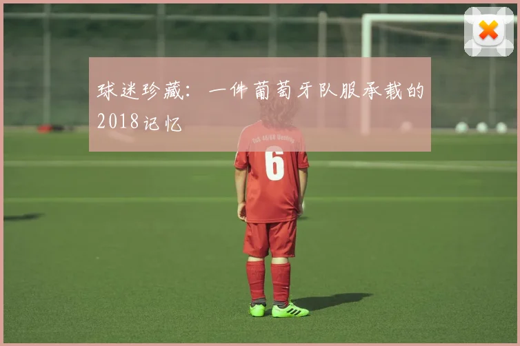 球迷珍藏：一件葡萄牙队服承载的2018记忆