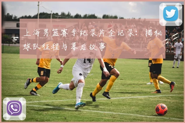 上海男篮赛季纪录片全记录：揭秘球队征程与幕后故事