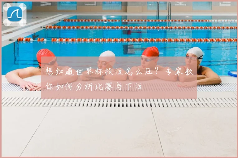 想知道世界杯投注怎么压？专家教你如何分析比赛与下注